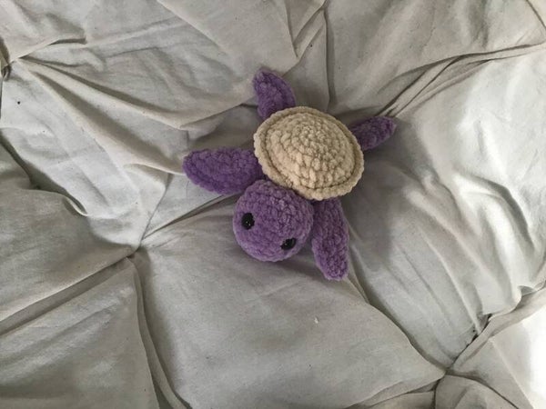 Lavender turtle