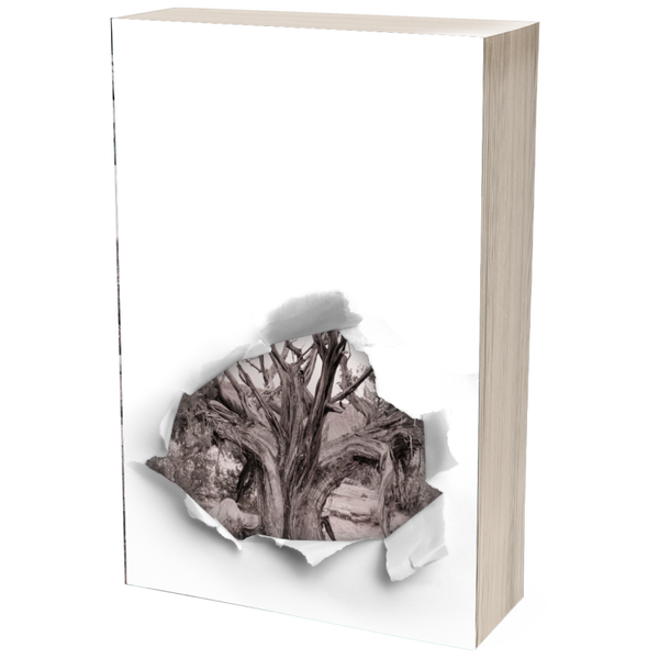 PAPERBACK BUNDLE - TWISTED JUNIPER AND THE RABBIT KILLERS