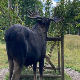 img_5549jpeg.jpeg