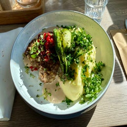img_1447jpeg.jpeg