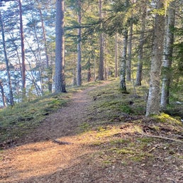img_1424jpeg.jpeg