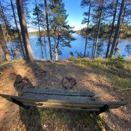 img_1433jpeg.jpeg