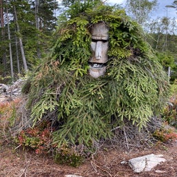 troll_stigen-1.jpg