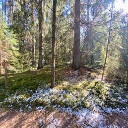 img_1420jpeg.jpeg