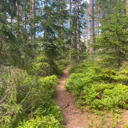 img_8440jpeg.jpeg