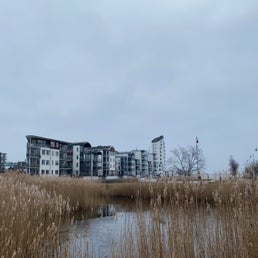 img_9958jpeg.jpeg
