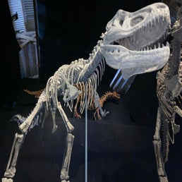 img_5570jpeg.jpeg
