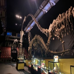 img_5572jpeg.jpeg