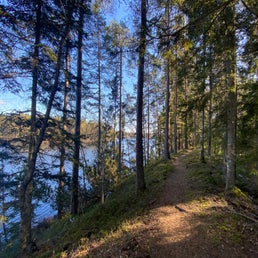 img_1427jpeg.jpeg