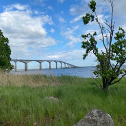 img_8084jpeg.jpeg