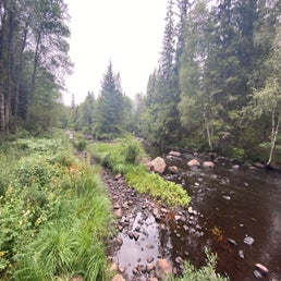 img_8607jpeg.jpeg