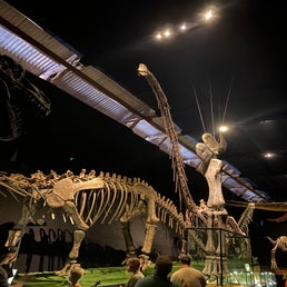 img_5575jpeg.jpeg