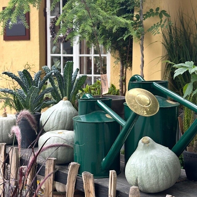 image17-standard.jpg