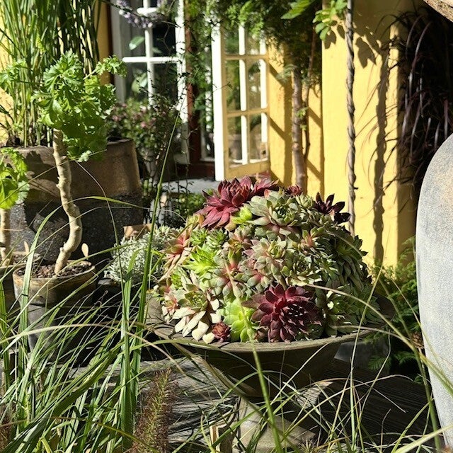 image18-standard.jpg