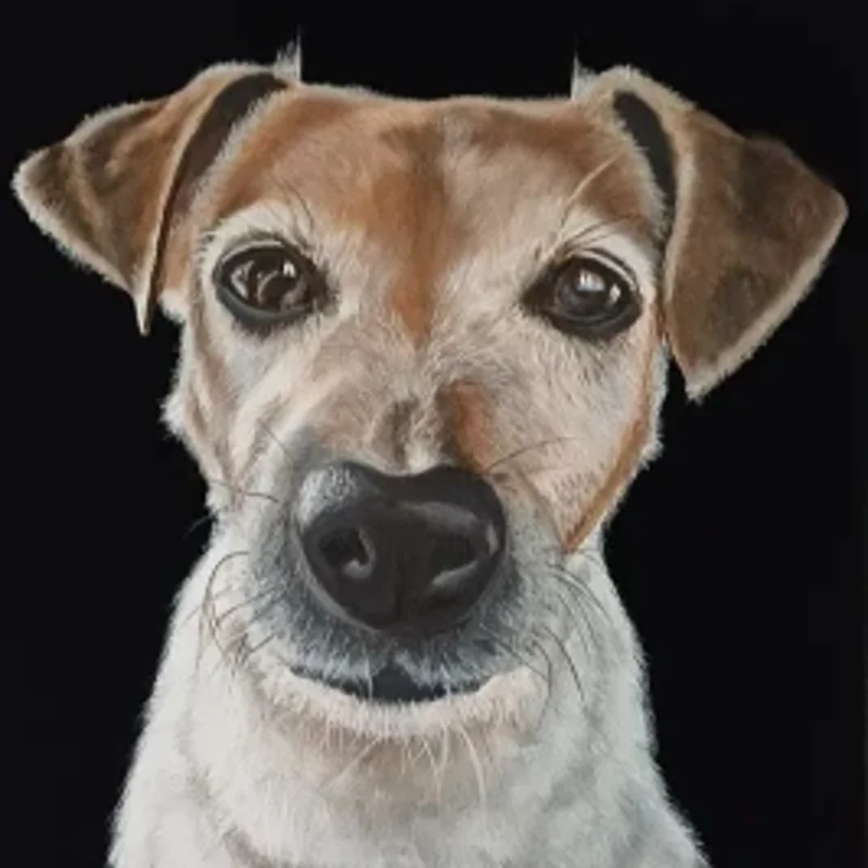 eva-zucker-tierportraits-hund-standard.webp