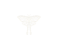 Wilde Alchemy Co.