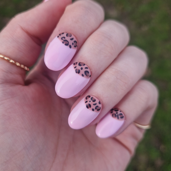 Rose Roar
