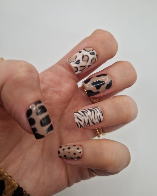 Safari