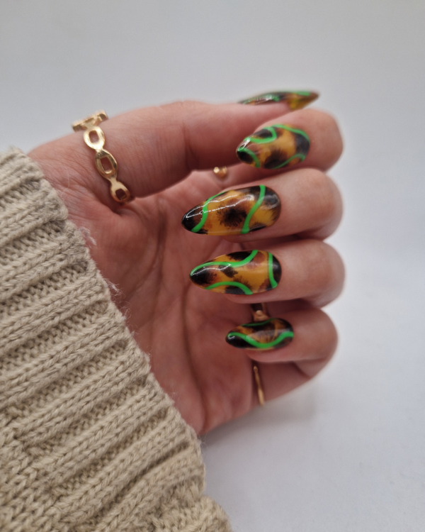 Twisted Tortie