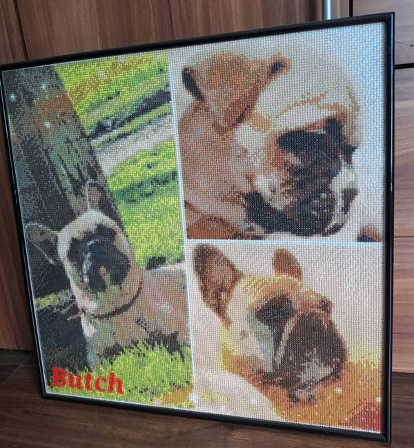 Dein Lieblingsfoto als fertiges Glanzstück!