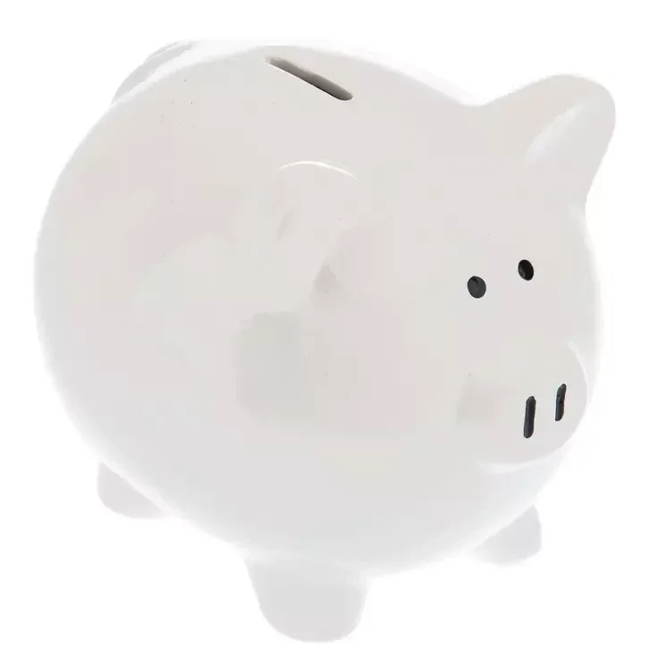 Small Piggy Bank (Designs on one side)