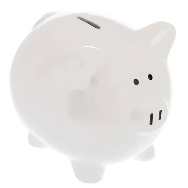 Small Piggy Bank (Designs on one side)