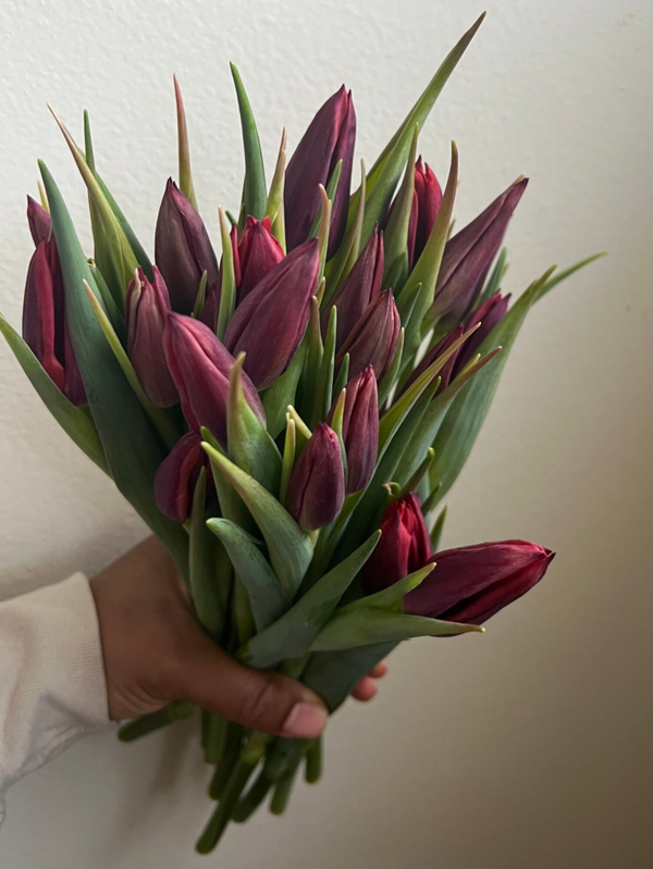 V-Day Tulip Bouquet