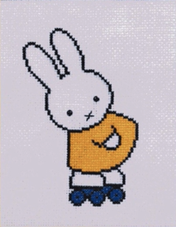 Pako - Nijntje - op rolschaatsen    13 x 17 cm