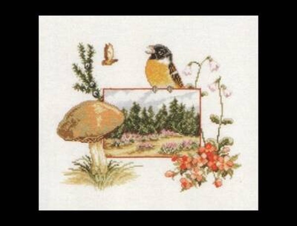 Pako - Flora & Fauna - Paddestoel 39 x 35 cm