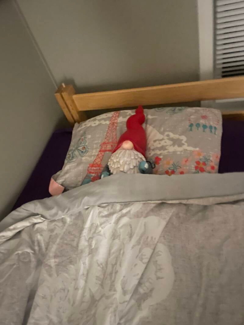 A large gnome, laying in a human's bed, tucked in for sleep