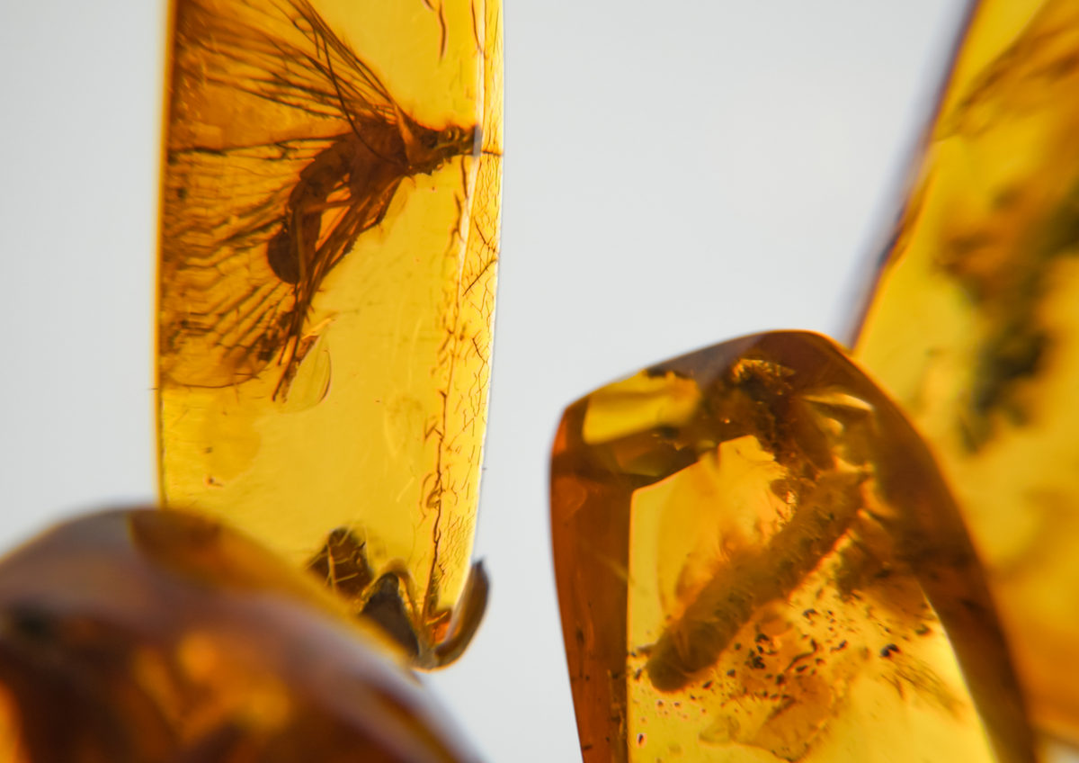 Amber / Learning | Gem perfection
