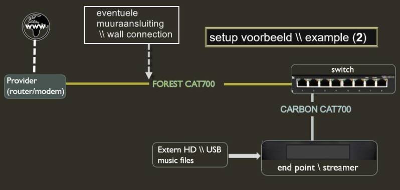 voorbeeld setup met AudioQuest Carbon Cat700 & Forest Cat700