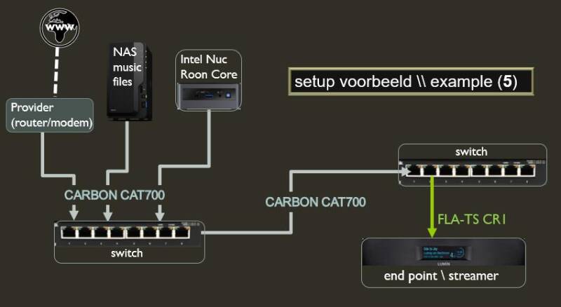 voorbeeld setup met AudioQuest Carbon Cat700 & Fla-TS CR-1
