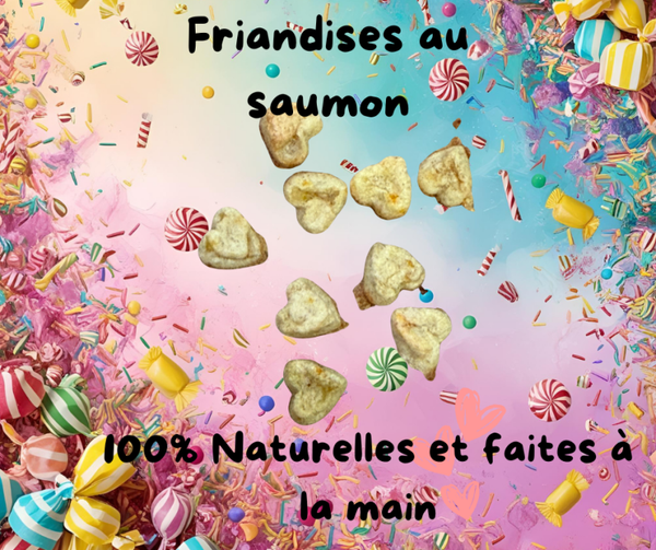 Friandises au saumon