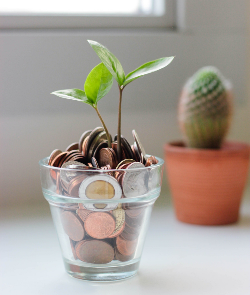 Tarieven Emerald Ergotherapie