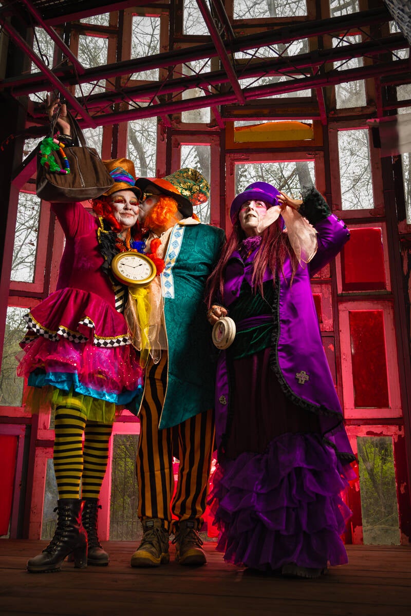 timeless-tales-alice-in-wonderland-cosplay-mad-hatter-fantasy-jpg-standard.jpg