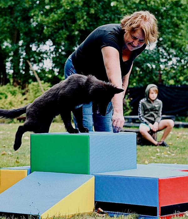 Puppy Start Groep