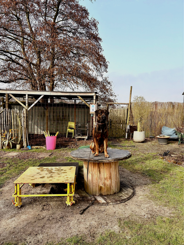 Bundel: Door traject
