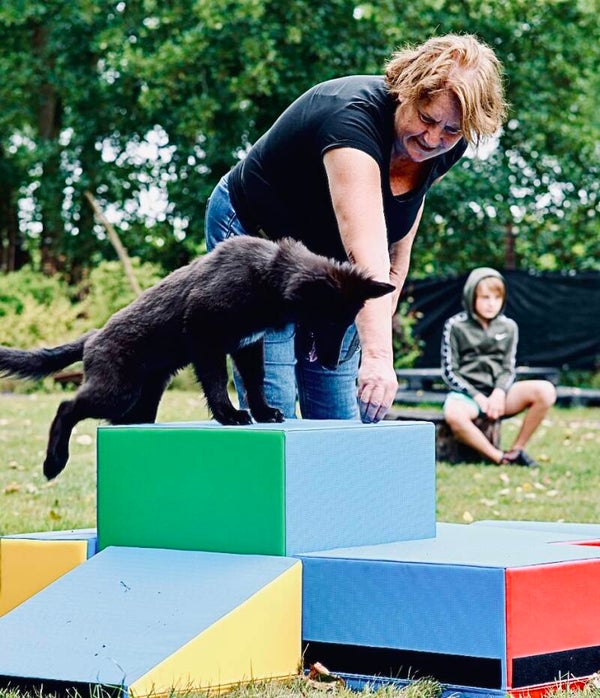 Puppycursus