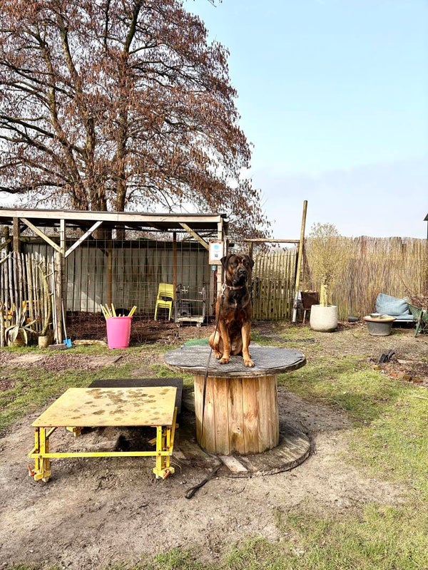 Bundel: Door traject