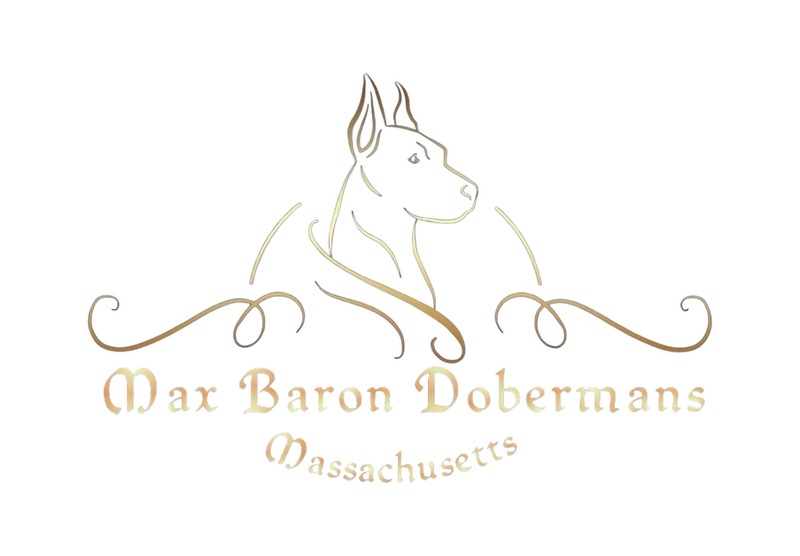 Maxbarondobermans.site