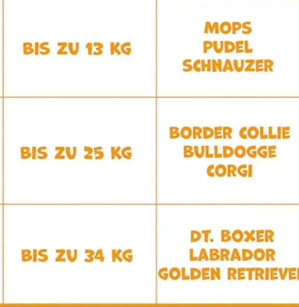 Hundeliegeplatz/Katzenliegeplatz Flame