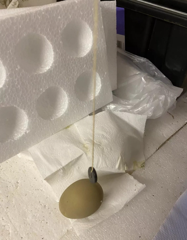 The Egg Fertility and Chick gender tester works on Humans too