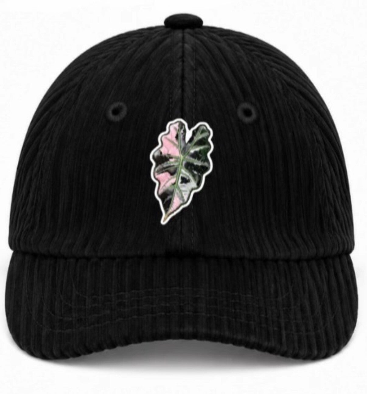Black Corduroy Cap Rare Foliage