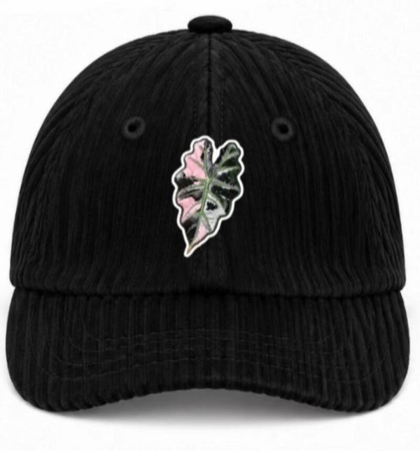 Black Corduroy Cap Rare Foliage