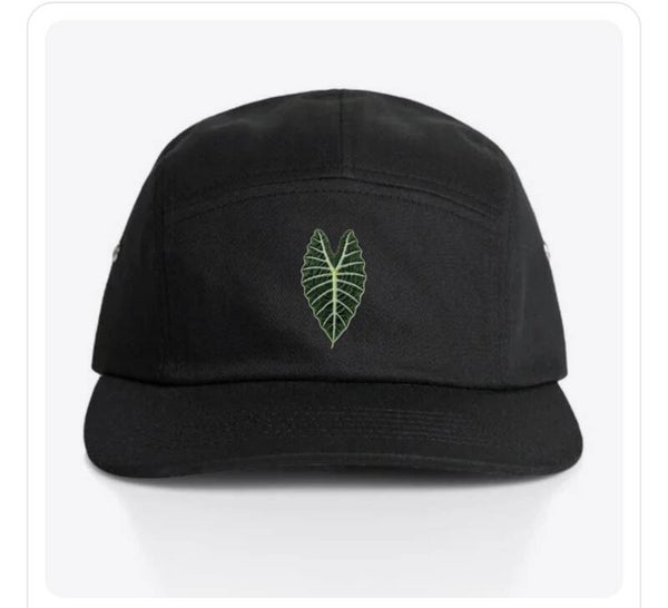 5 Panel Cap Rare plant inspired