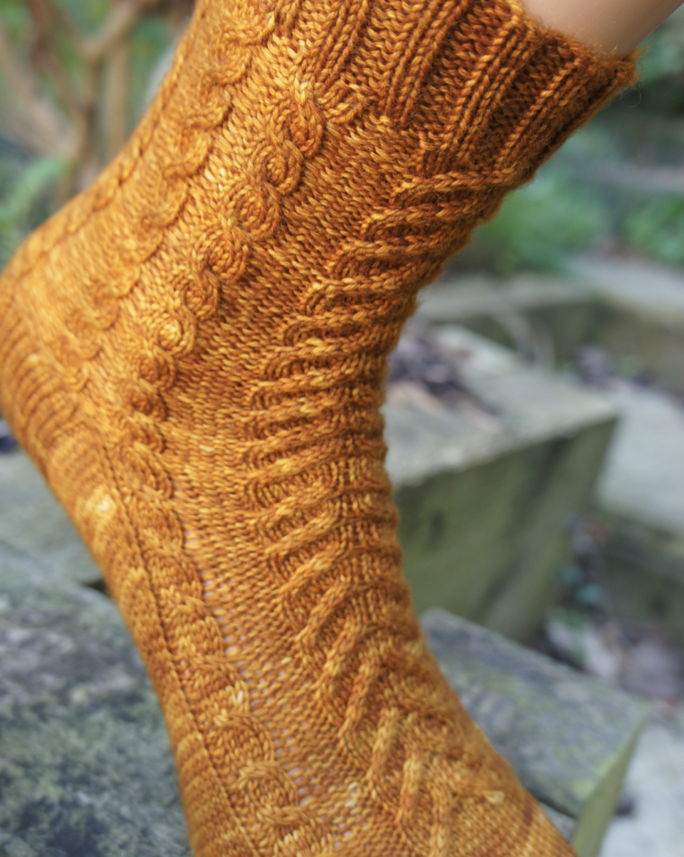 Explorer Socks