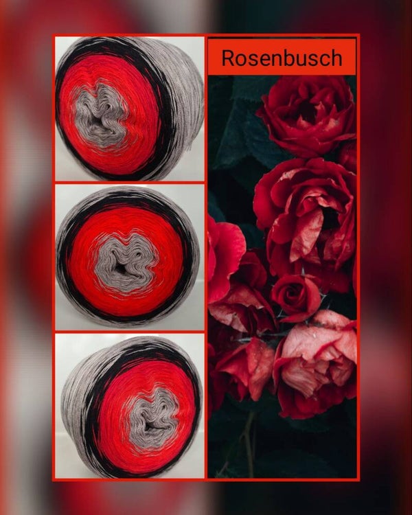 Rosenbusch (1,20€/100m)