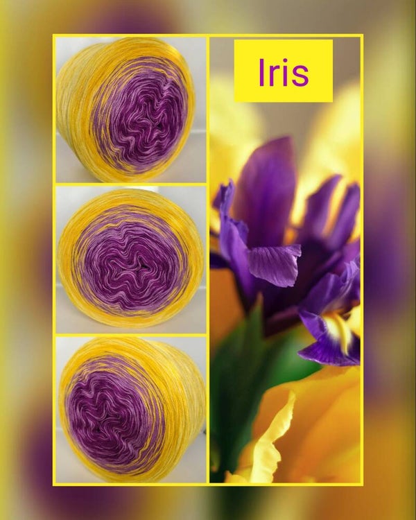 Iris (1,20€/100m)