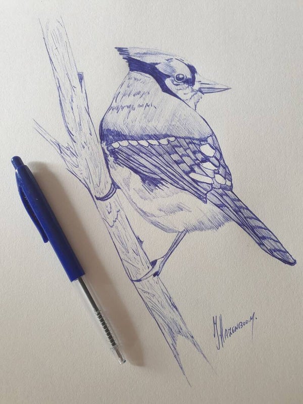 Vogel met Pen